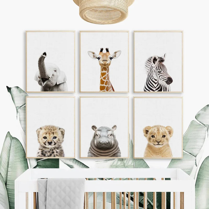 Quadro Decorativo Animais Zoo | Santorini ©